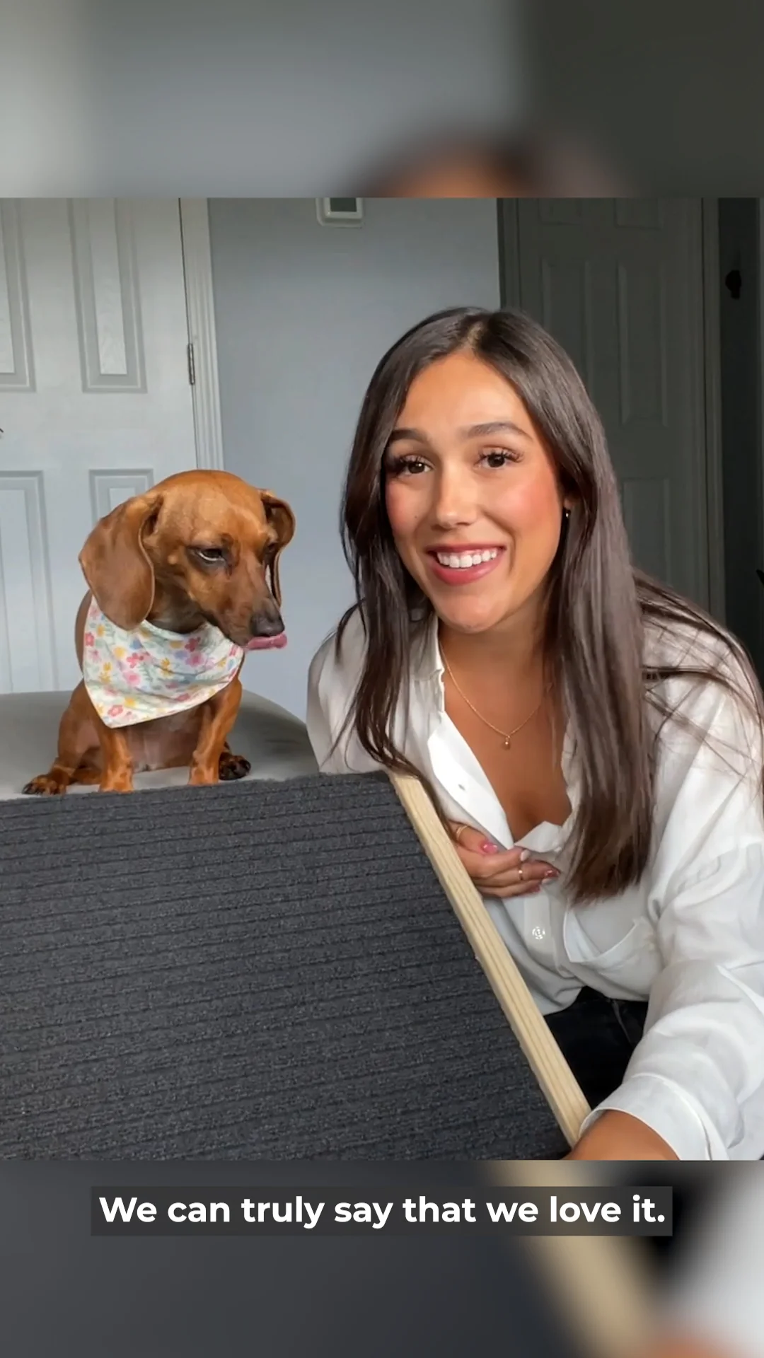 Unleash Your Dog's Unique Style
